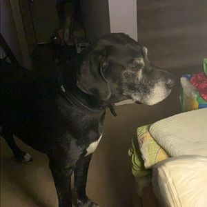 Meet your Posher, Gloria